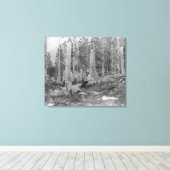 ドナーによって切り倒された木の切り株パーティー キャンバスプリント (インサイチュ (ウッドフロア))