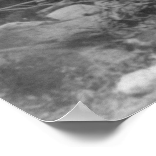 ドナーによって切り倒された木の切り株パーティー ポスター (角)