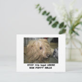 ドナービチョン12-10-08 (42)、この法ストップ的な… ポストカード (スタンド正面)