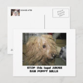 ドナービチョン12-10-08 (42)、この法ストップ的な… ポストカード (正面/裏面)