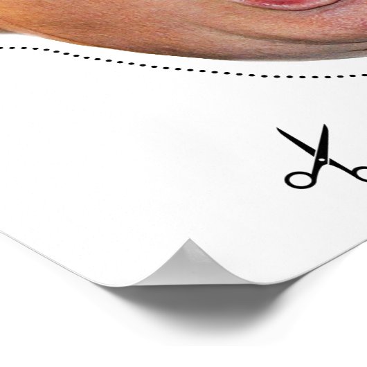 ドナ怒ドの衣装マスク ポスター (角)