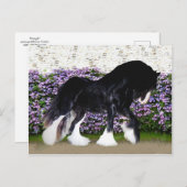 "ドニゴール"の郵便はがき ポストカード (正面/裏面)