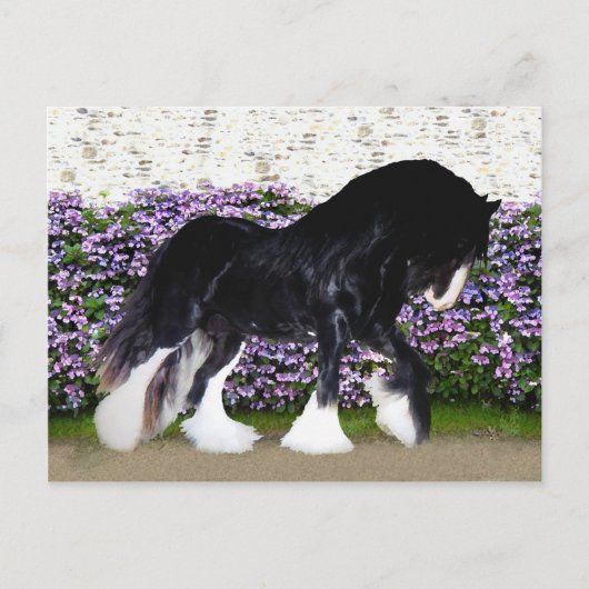 "ドニゴール"の郵便はがき ポストカード (正面)