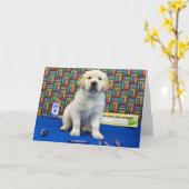 ドニー週6 カード (黄色い花)