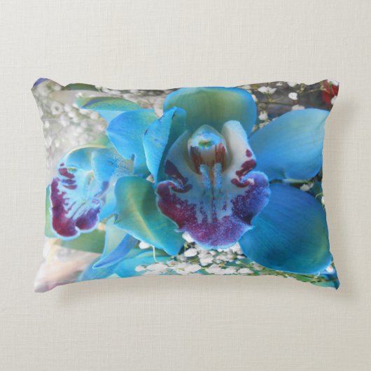 ドネラ アクセントクッション (正面)