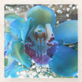 ドネラ ガラスコースター (正面)