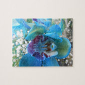 ドネラ ジグソーパズル (横)