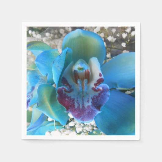 ドネラ スタンダードカクテルナプキン (正面)