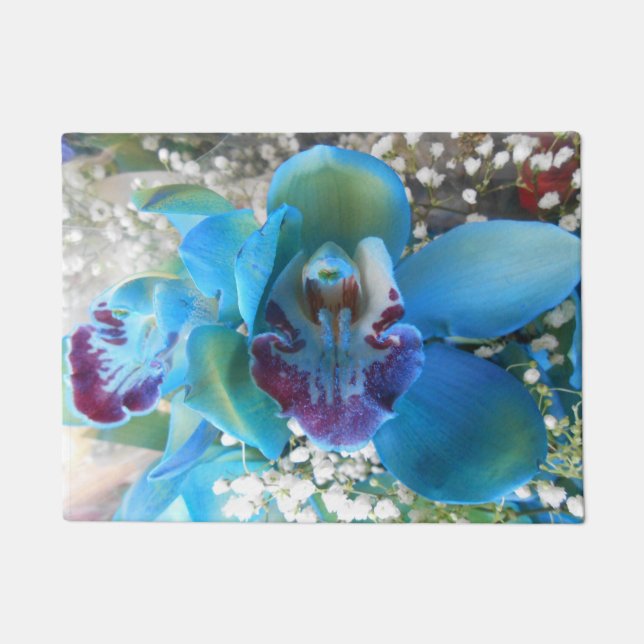 ドネラ ドアマット (正面)