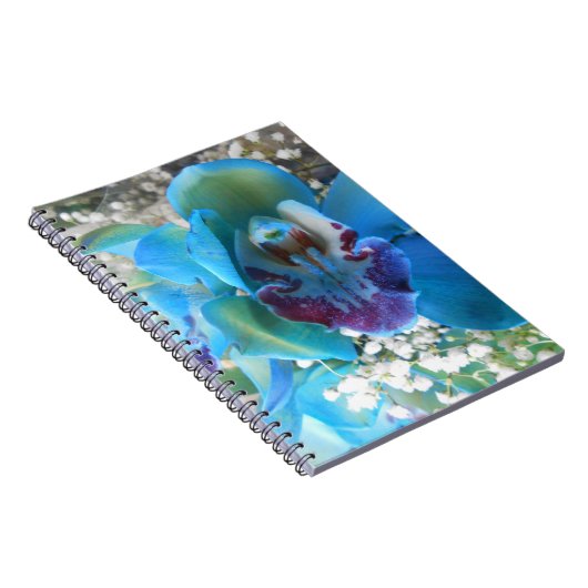 ドネラ ノートブック (右側)