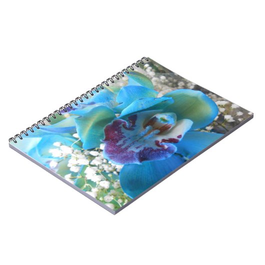 ドネラ ノートブック (左側)