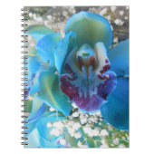 ドネラ ノートブック (正面)