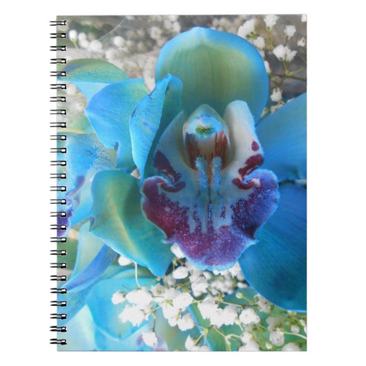 ドネラ ノートブック (正面)