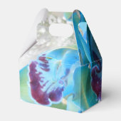 ドネラ フェイバーボックス (裏面サイド)