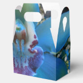 ドネラ フェイバーボックス (オープン)