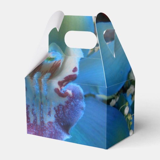 ドネラ フェイバーボックス (正面サイド)