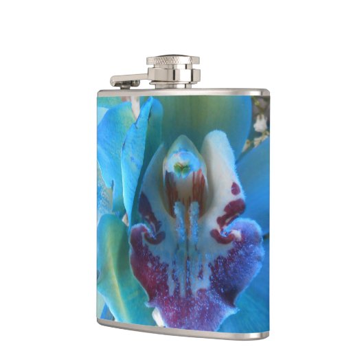 ドネラ フラスク (左)