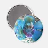 ドネラ マグネット (正面/裏面)