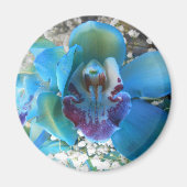 ドネラ マグネット (正面)