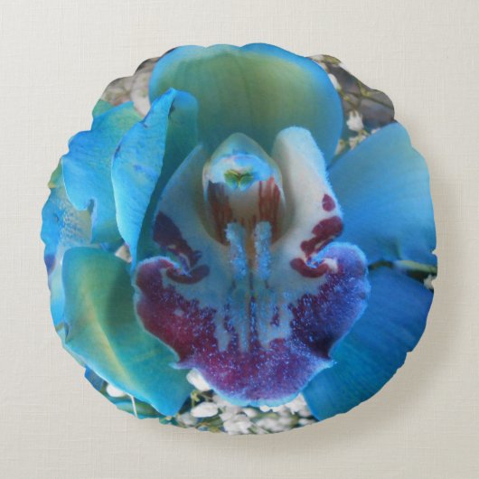 ドネラ ラウンドクッション (正面)