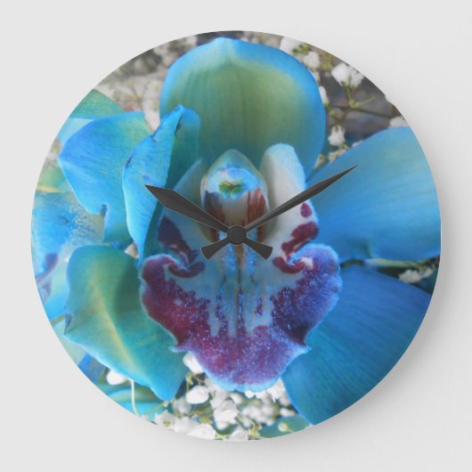 ドネラ ラージ壁時計 (正面)