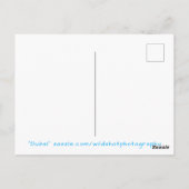 ドバイシティライツナイトタイム ポストカード (裏面)