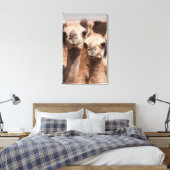 ドバイ近くのアル・アインのラクダ市場でのラクダ キャンバスプリント (インサイチュ (寝室))