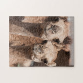 ドバイ近くのアル・アインのラクダ市場でのラクダ ジグソーパズル (横)