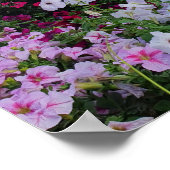 ドバイUAEミラクルガーデン ポスター (角)