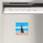 ドバーマンドッグオンザーズビーチ マグネット (インサイチュ (食洗機))