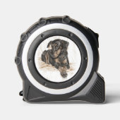 ドバーマンドッグ自然耳 メジャー (正面)