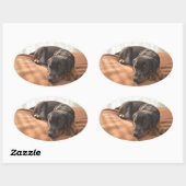 ドバーマンピンシャーの子犬 楕円形シール (シート)