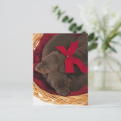 「ドバーマン・ピンチャー」とも呼ばれる。中型の愛犬 ポストカード (スタンド正面)