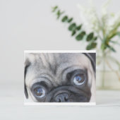 ドビエの目 ポストカード (スタンド正面)