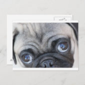 ドビエの目 ポストカード (正面/裏面)