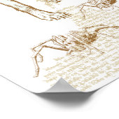 ドビー ポスター (角)