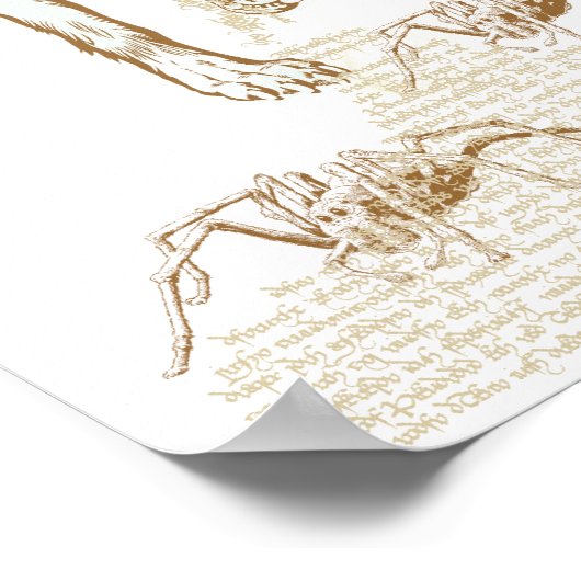 ドビー ポスター (角)