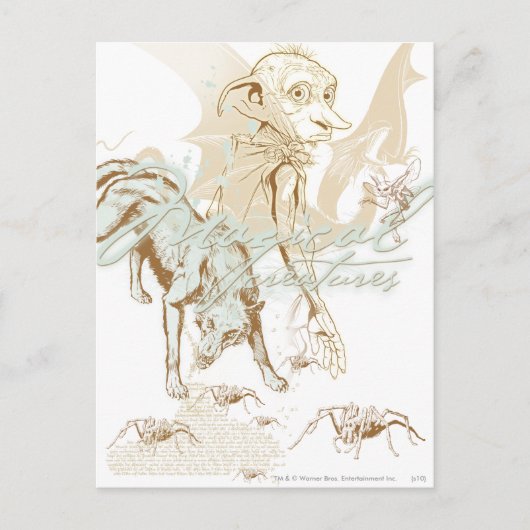 ドビー ポストカード (正面)