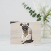 ドビー・ルンニン ポストカード (スタンド正面)