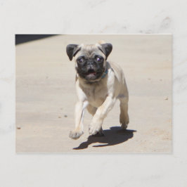 ドビー・ルンニン ポストカード