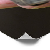 ドブバーズカウアイハワイ ポスター (角)