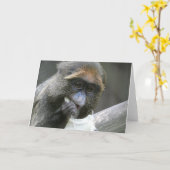 ドブラザモンキー カード (黄色い花)