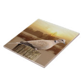 ドブ タイル (側面)