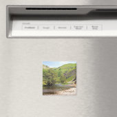 ドベデール マグネット (インサイチュ (食洗機))