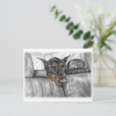 ドベルマンが車に乗る ポストカード (スタンド正面)