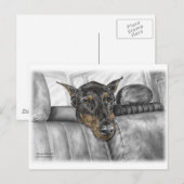 ドベルマンが車に乗る ポストカード (正面/裏面)