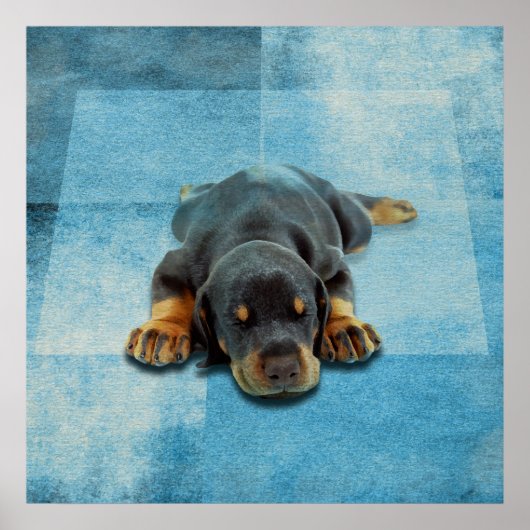 ドベルマンパピー – (犬)ドーベルマン・ピンシェル ポスター (正面)