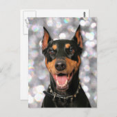 ドベルマン – メシアン ポストカード (正面/裏面)