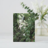 ドミニカの滝 ポストカード (スタンド正面)