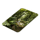 ドミニカの熱帯雨林の流れ マグネット (左側)